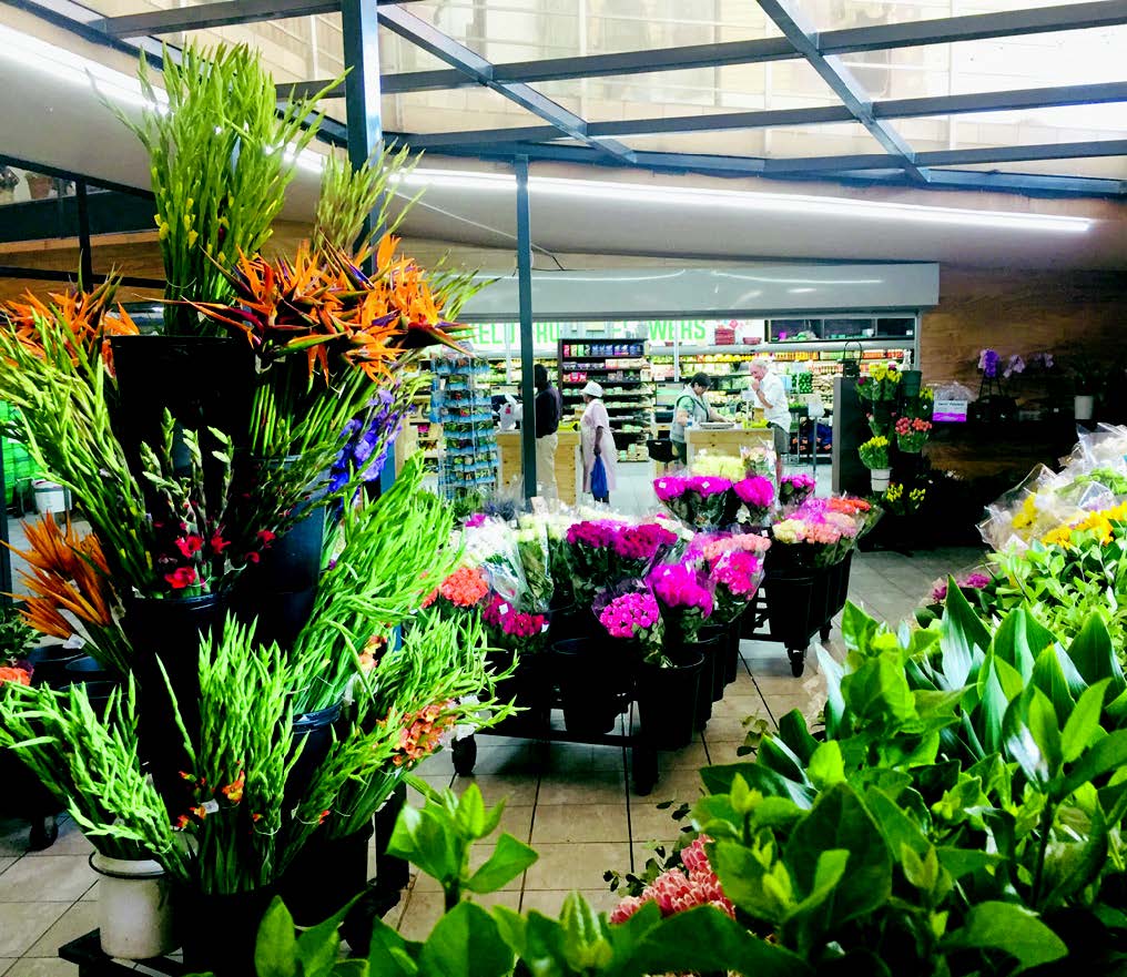 A divine life in Dunkeld Rosebank Killarney Gazette