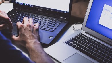 freestocks-I_pOqP6kCOI-unsplash
