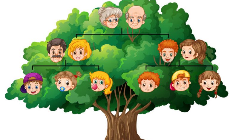 Weekend craft: Branch out and make a family tree