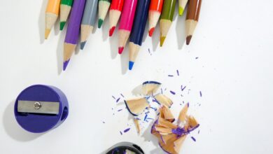multi-colored-pencils-on-white-background-254717