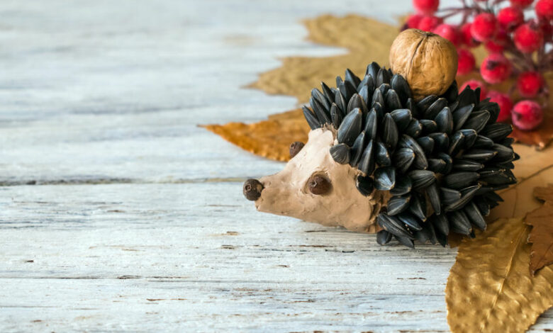 How to craft a hedgehog out of sunflower seeds