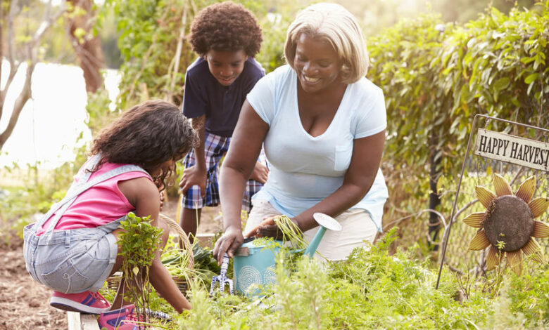 Teaching environmentally-friendly financial decisions