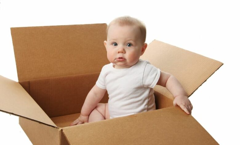 Why do babies love playing with cardboard boxes?
