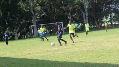 A Norwood Young Stars junior (in blue) player owns the ball