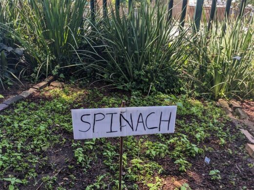 Handmade signs adorn the gardens.