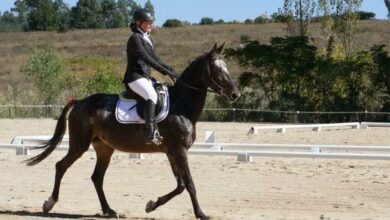 Emma Le Grange and her horse Against all odds.