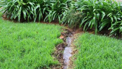 Water from a leaking drain on the corner of 4th Street and 2nd Avenue Houghton pours into a resident's garden. Photo: Asanda Matlhare