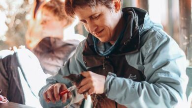 Rensburg rings a bird.