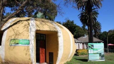 The house of breeding of Pickersgill's Reed Frog in Joburg Zoo.