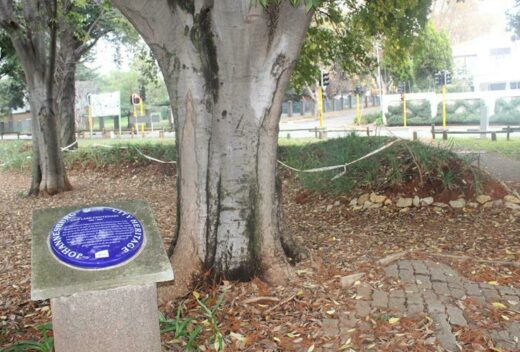 Before the destruction, the centenary plaque stands on a concrete slab at Zoo Lake. Photo: Naidine Sibanda
