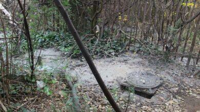 For two years, this raw sewage 50m away from the Pirates Tennis Cub has been flowing into the Spruit and causing a nasty odour. Photo: Naidine Sibanda