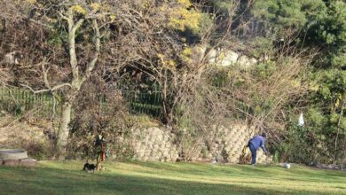 A man is seen rolling a bucket towards the Hilson River on June 29. Photo: Naidine Sibanda