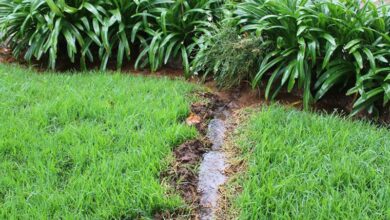 Leaking water from a drain on the corner of 4th Street and 2nd Avenue in Houghton. Photo: Asanda Matlhare