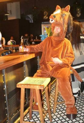 A grumpy horse needs a drink too. Photo: Naidine Sibanda