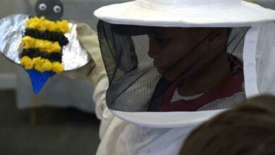 Learner from Roedean School South Africa gets to wear the bee-suit.