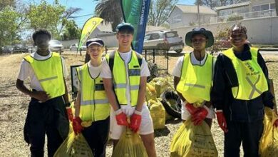 St Stithians Boys' College learners earn their community hours as they clean up.
