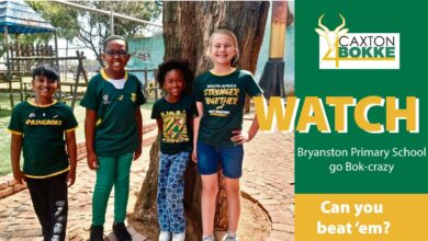 Joburg North schools show their support for the Springboks.