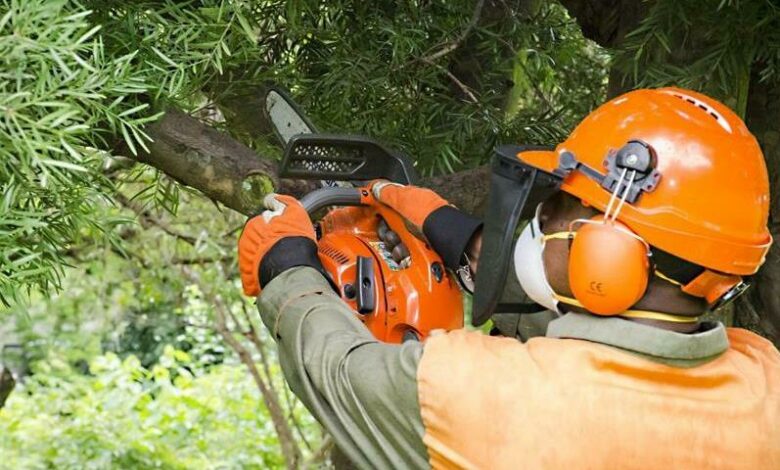 The removal of 312 trees will take place along Braamfontein Spruit in Parkhurst.