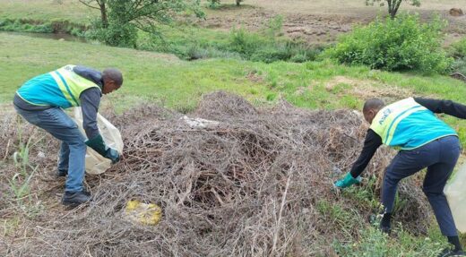 Thobela Toyi and Paul Kanyenze finish cleaning around the Braamfontein Spruit.