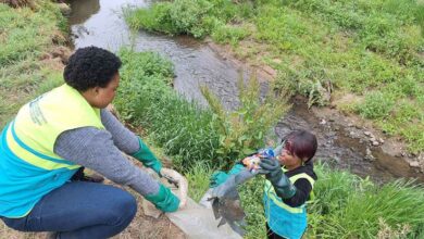 Gugulethu Mazibuko and Belchan Diabankana pick up waste from the stream.