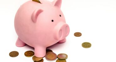 money-pink-coins-pig-9660