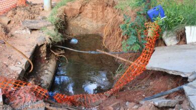A dug-up and exposed hole in a driveway collects water in Lyndhurst. Photo: Asanda Matlhare