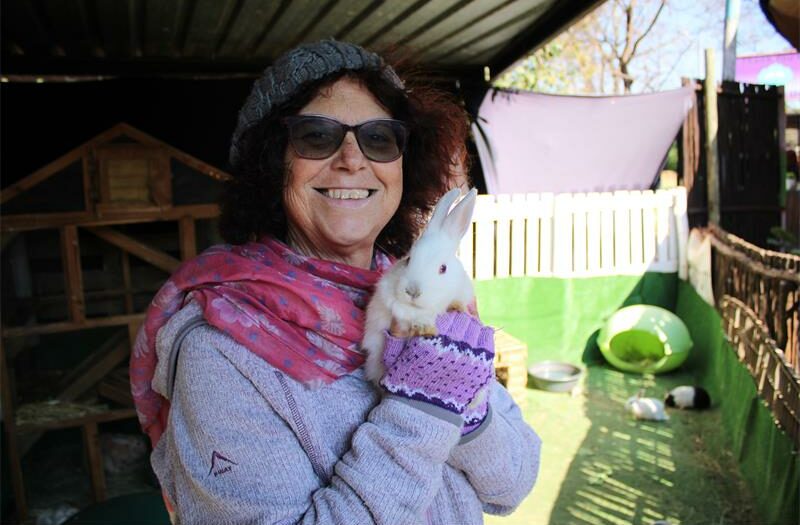 The Observatory animal sanctuary celebrates a year of rescued animals, loving adoptions, and growing community support, while looking ahead to an even brighter 2026 filled with hope, compassion, and furry friends.