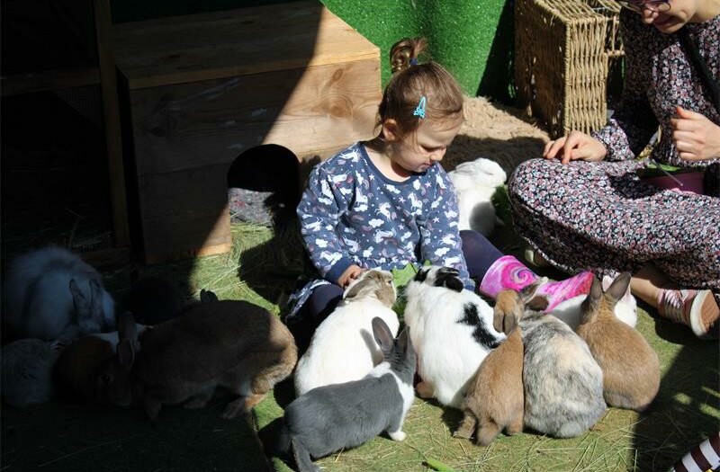The sanctuary is a safe space for rescued animals while teaching children and families the value of kindness and care.