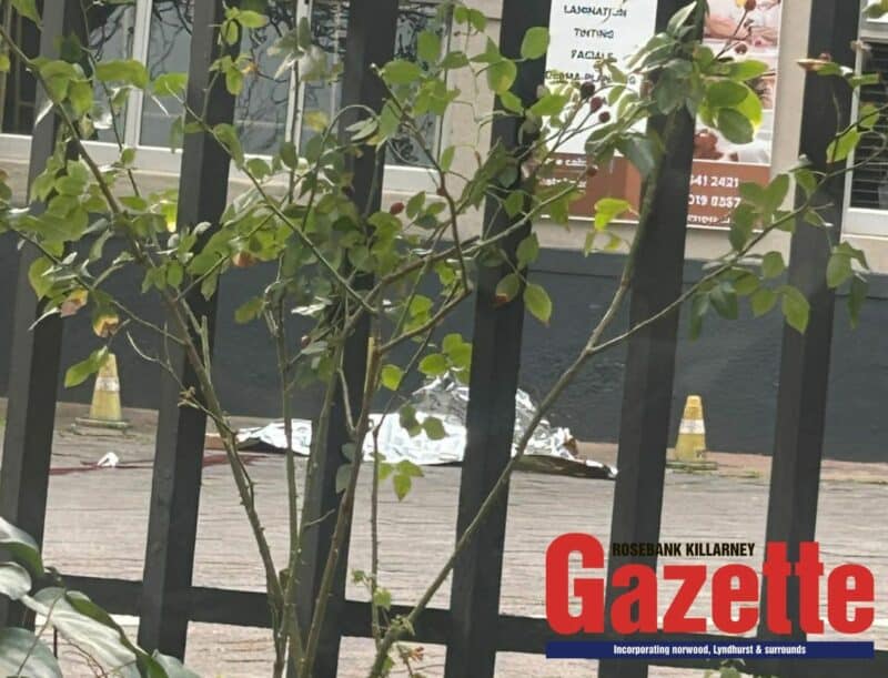 Police have secured the scene of an alleged shooting on Bath Avenue in Rosebank, where one body has been seen.