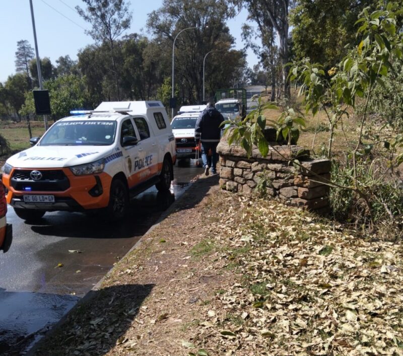 Residents of Norwood celebrate a collaborative effort to beautify public spaces and enhance neighbourhood safety.
