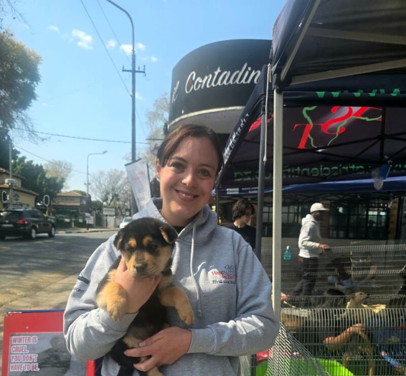 At the bustling hub in Parktown North, abandoned and neglected dogs are given a second chance, one wag at a time.