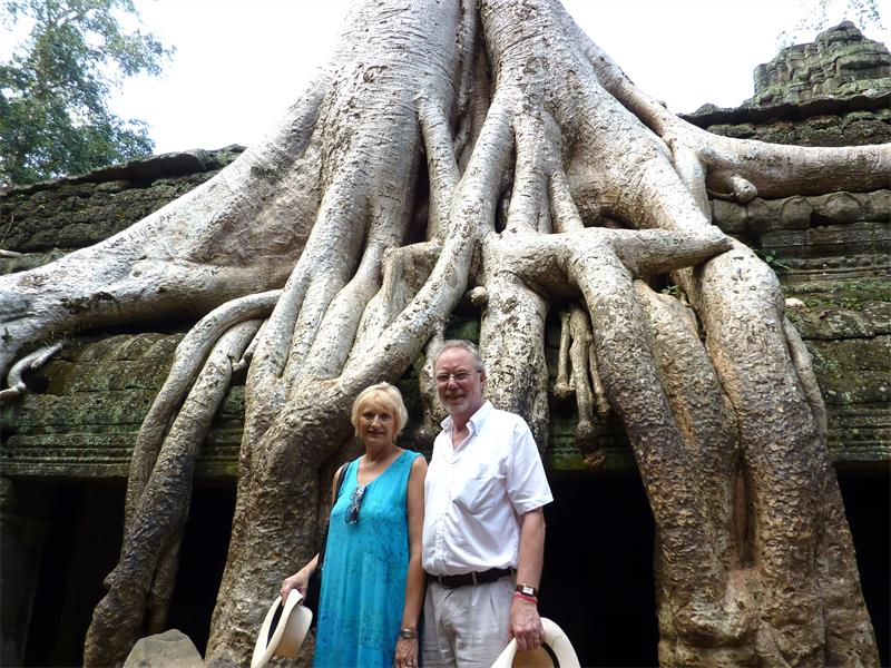 André Hattingh's new poetry collection, My Leaves Stay Green, combines her love for trees with artworks by Bronwen Findlay, celebrating nature, resilience, and Johannesburg's urban forest.