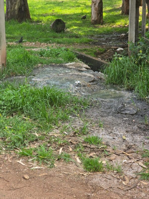 Johannesburg Water is responding swiftly to a sewage spill at Pieter Roos Park, working to identify the source and contain the flow.