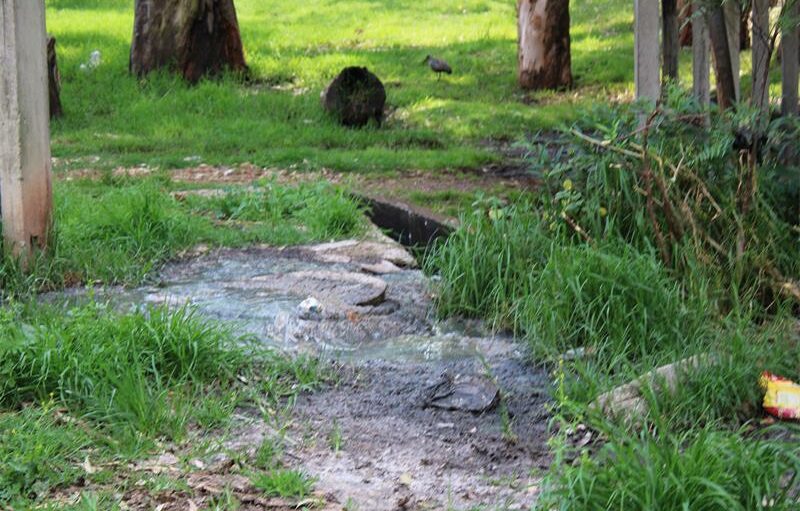 Johannesburg Water has dispatched a team to Pieter Roos Park after reports of spilling raw sewage.