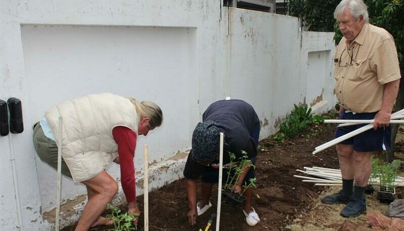 Nico Visser and Emily Molefe plant seedlings at Guild Cottage on October 29, 2025. Photo: Naziya Davids-Easthorpe