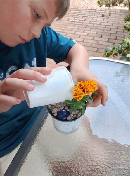 Compassionate Friends Johannesburg offers support to bereaved families in 2026