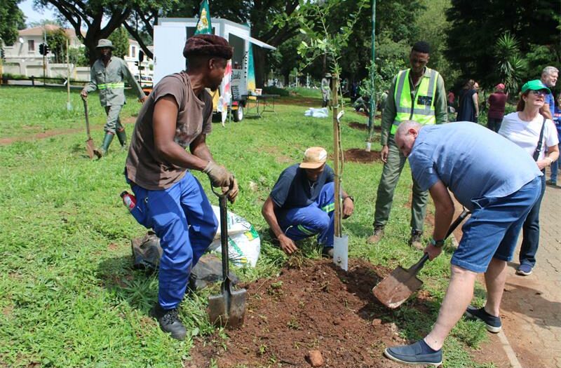 Zoo Lake's tree planting initiative was started by a parent from Jan Celliers Laerskool en Preprimêr.