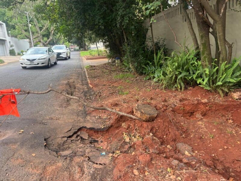 JRA is yet to respond to Birdhaven residents about the erosion on Arran Avenue.