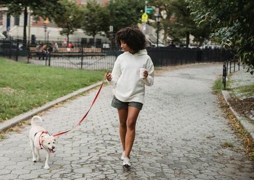 Our streets and parks wouldn’t be the same without our four-legged neighbours! Whether you’re a professional walker or a weekend wanderer, we all play a part in keeping our community harmonious. Check out our latest guide on local by-laws to ensure your next walk is safe and fun for everyone, on both ends of the leash. 