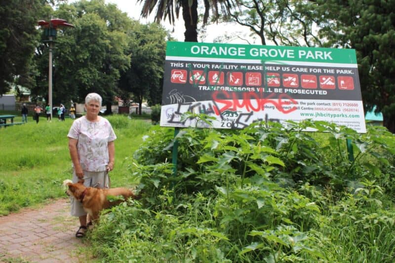 Once a cherished green refuge, Orange Grove Park has fallen into disrepair, but residents and City Parks say partnership could be the key to restoring its pride.