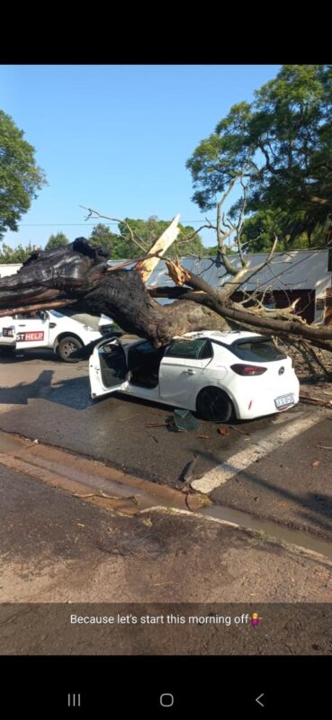 A rubbish fire led to a tree collapsing onto a vehicle in Upper Houghton, prompting an emergency response and renewed warnings to residents.