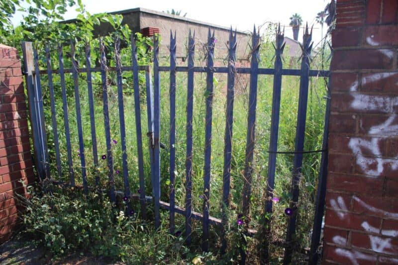 City Power says an Orange Grove substation has not been neglected, citing routine inspections, recent vegetation clearing and plans to secure the site following resident complaints.