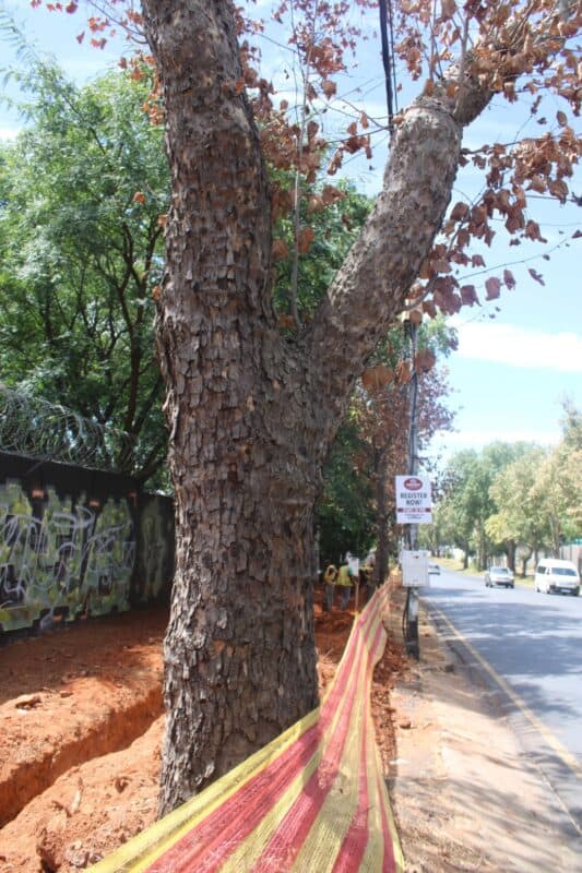 There was a 140-bed Dunkeld private hospital application which was published in 2022