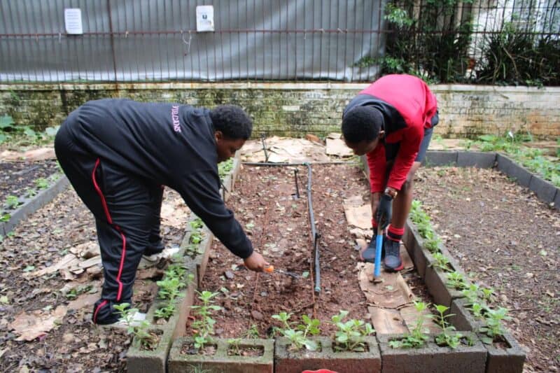 Young volunteers are growing more than vegetables as they bring new life to a local green space.