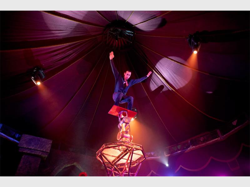 Royal Countess Zingara