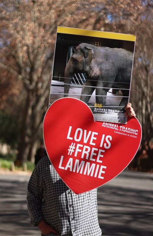 A protester holds up various boards on June 6, 2026, outside the Johannesburg Zoo during a protest held by Ban Animal Trading South Africa. Photo: Neo Phashe