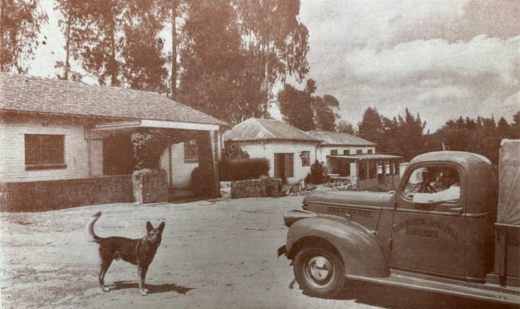 REEA Foundation. Photo: Supplied