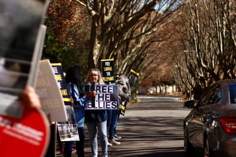 Activists gathered outside the Johannesburg Zoo on June 6 to raise awareness about a court case that could determine the future of three resident elephants.