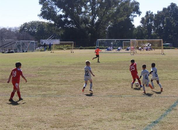 The U8 football teams, Highlands FC and DBK, take each other on in an intense junior football game on July 5, 2026. Photo: Thato Modop