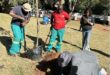 Description: Bongiwe Ndondo prepares the soil to plant a tree on July 17, 2026. Photo: Asanda Matlhare